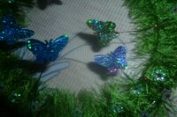 Валерьянка 2.1.JPG