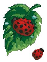 Букашка на листе.jpg