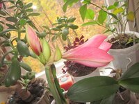 Изображение 1677.jpg