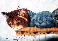 2морды на отчет.jpg