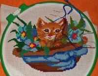 DSCN1103 (640x501).jpg