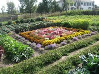 снимки 011.jpg