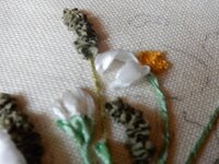 2014-05-29 09-29-10.jpg