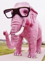5991418_1193159780_pink_elephant1.jpg