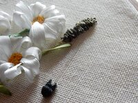 2014-05-31 11-42-26.jpg