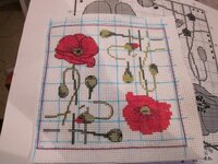 Изображение 3119.jpg