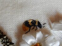 2014-06-01 10-12-14.jpg