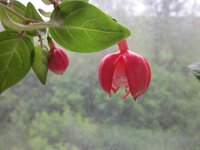 Изображение 1236.jpg