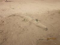 Изображение 262.jpg