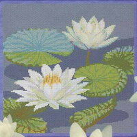 17-E White Lotus.jpg