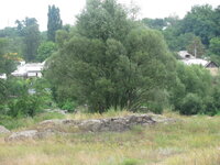 Изображение 096.jpg