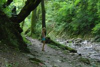 Свирское 12.jpg