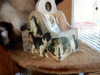 2016-02-04 13-38-34.jpg