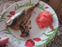 Изображение 2408.jpg