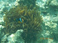 отдых 2014 май 118.jpg