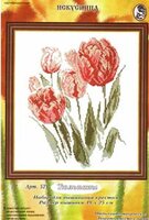 521 Тюльпаны.jpg