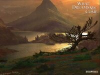 Куда приводят мечты.jpg