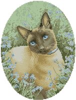 PM4-JSSC305_Siamese Cat.jpg