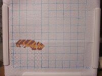 Изображение 31788.jpg