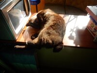 2016-04-04 10-42-56.jpg