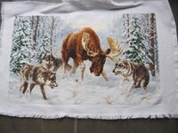 меа финиш.jpg