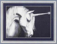 KK82013 Grace the Dawn.jpg