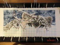 Энджи СЛеопард 07.jpg