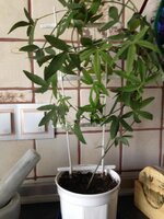 2014-09-15 15-23-59.jpg