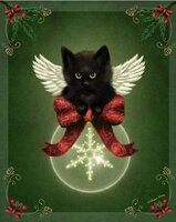 merry little christmas cat.JPG