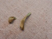 2014-05-24 13-17-42.jpg