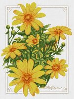 Pinn 17-R «Рудбекия».jpg