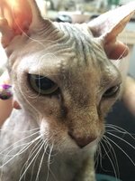 2018-01-16 13-36-10.JPG