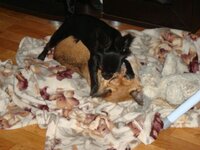 Варя с Норой.jpg