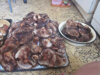 Изображение 33274.jpg