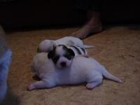 Изображение 631 [Разрешение рабочего стола].jpg