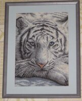 Белый тигр.jpg