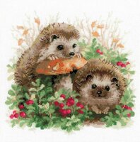 ежики от риолис то что будет.jpg