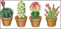 4 Cactuses 2.jpg