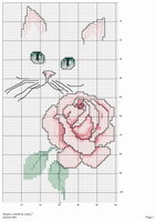 LA Cat Blue Eyes & Rose.jpg