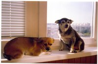 Майк и Нора.jpg