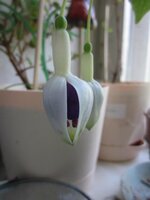 Изображение 1126.jpg