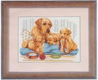 Anchor PCE810 Golden labrador family.jpg