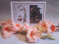 Изображение 31879.jpg