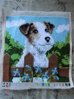 CIMG1015 (1024x768).jpg