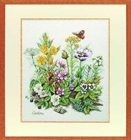 34.304 Field flowers Coraline.jpg