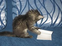 Изображение 164.jpg