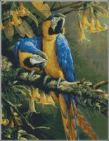 два сине-жёлтых попугая ара.jpg