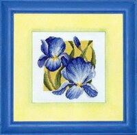 Semco 6016-3000 Iris.jpg