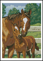 лошадь и жеребенок.jpg