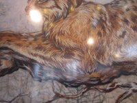 Изображение 993.jpg